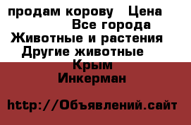 продам корову › Цена ­ 70 000 - Все города Животные и растения » Другие животные   . Крым,Инкерман